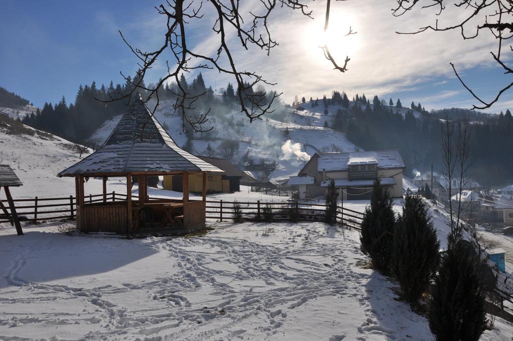 Pensiunea La Ionica Dîmbovicioara Exterior foto
