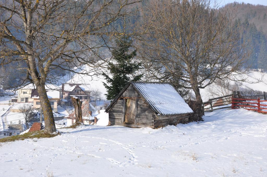 Pensiunea La Ionica Dîmbovicioara Exterior foto