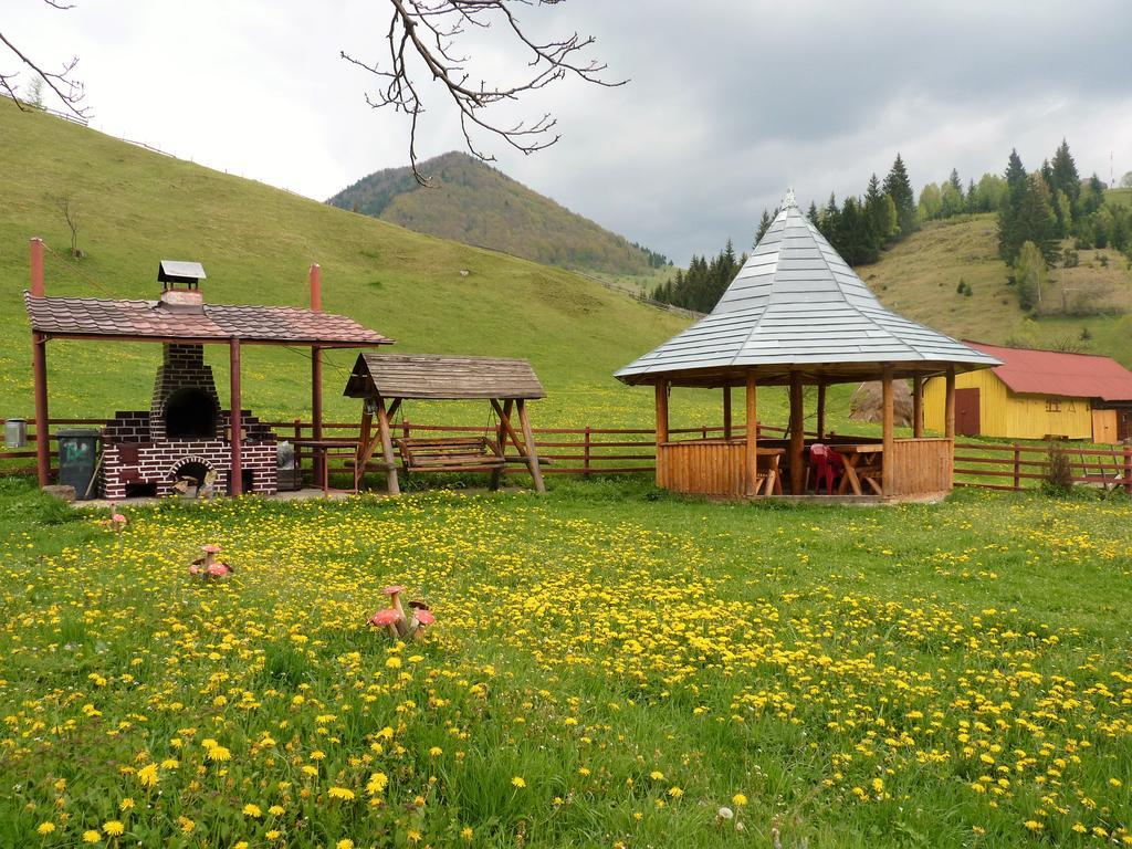 Pensiunea La Ionica Dîmbovicioara Exterior foto