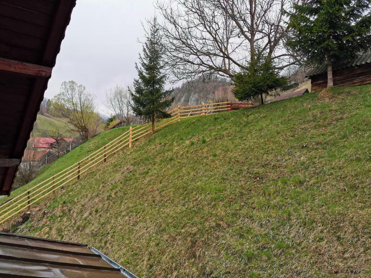 Pensiunea La Ionica Dîmbovicioara Exterior foto